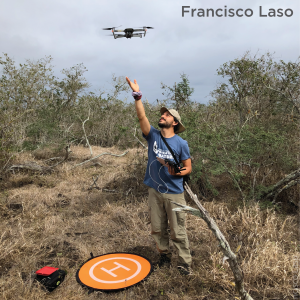 A student stands right under a drone after launching it in a clearing with low trees and brush.